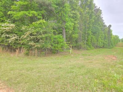 0 Oak Mountain Road, Shiloh, Georgia 31826, Estados Unidos