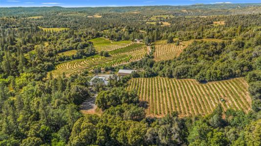 8221 Stoney Creek Road, Somerset, California 95684, USA