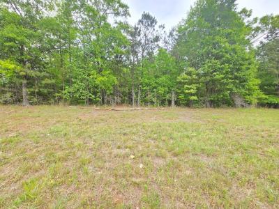 0 Oak Mountain Road, Shiloh, Georgia 31826, Estados Unidos