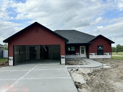 217 W FRANCIS ST, STURGEON, Missouri 65284, HOA KỲ