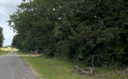 County Road 1805, Grand Saline, Texas 75140, Stati Uniti