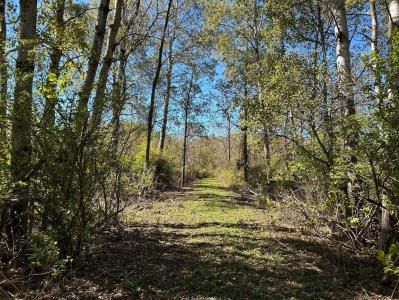 V/L 30th Avenue, Remus, Michigan 49340, États-Unis