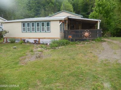 158 Apple Alley, Benton, Pennsylvania 17814, USA