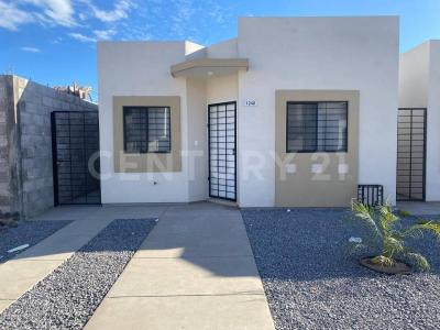 Circuito Toledo Norte #1248,, Ahome, Sinaloa 81294, Meksyk