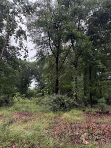 Merle Drive, Spartanburg, SC 29307, USA