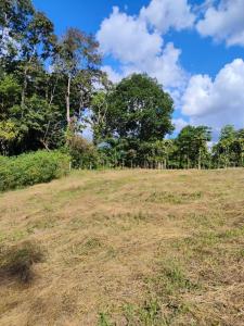 la cabanga 100, Cote Guatuso, Alajuela 50806, Costa Rica