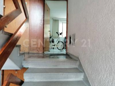 cuautla 81,, Tlalpan, Ciudad De México 14420, Mexico