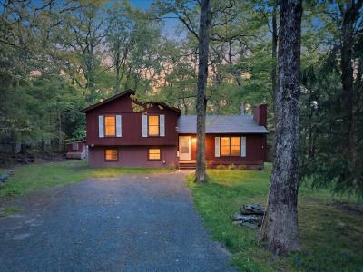 124 Pine Tree Road, Shohola, Pennsylvania 18458, USA