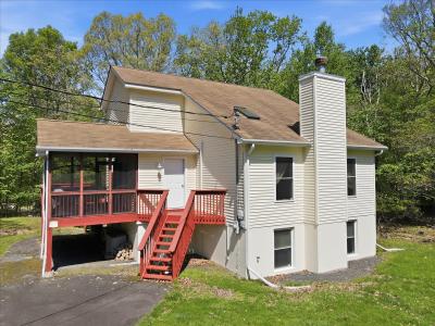 103 Mink Road, Dingmans Ferry, Pennsylvania 18328, Amerika Birleşik Devletleri