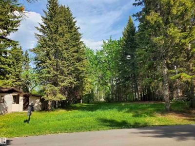 516 5 NORRIS BEACH PIGEON LAKE STREET, Rural Wetaskiwin County, Alberta T0C 2V0, Canada