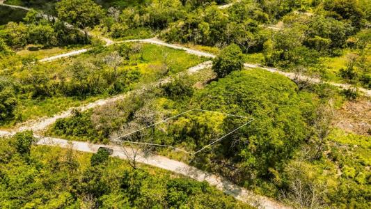 Bullet Tree, Cayo 501, Belize