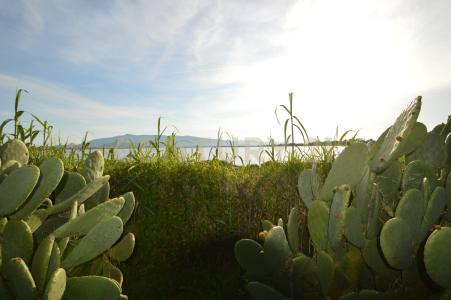 Loc. quattrostrade, Orbetello, Toscana 58015, 이탈리아