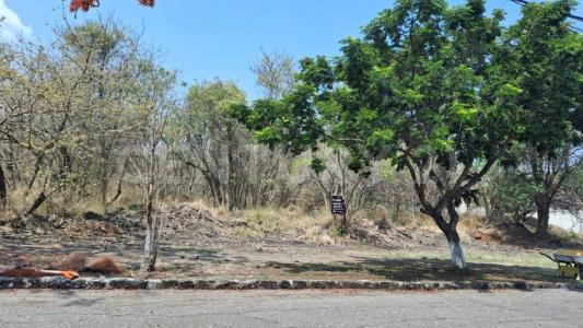 Jiutepec, Morelos 62576, Mexico