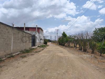 Santa Cruz de Aragua, Aragua 2123, Venezuela