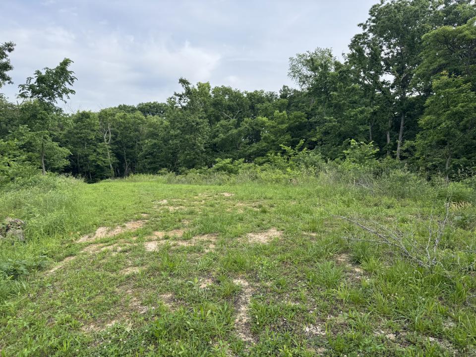 TBD Panama Avenue, Panamá, Illinois 62077, Estados Unidos