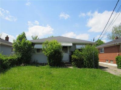 4680 Beechgrove Avenue, Garfield Heights, Ohio 44125, USA