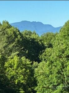 905 Harley Perry Road, Zionville, North Carolina 28698, USA