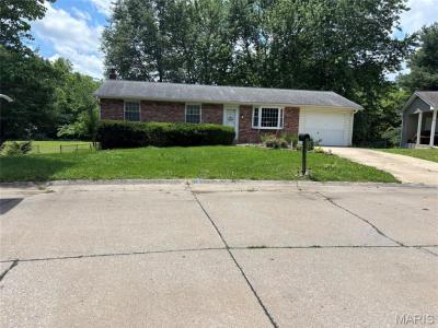 601 Odus Drive, Jackson, Missouri 63755, Estados Unidos