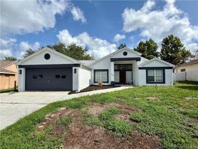 1078 S Softwind Loop, Lecanto, Florida 34461