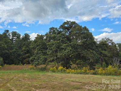 000 Cook Lane #24.87 Acres, Mills River, NC 28759, USA
