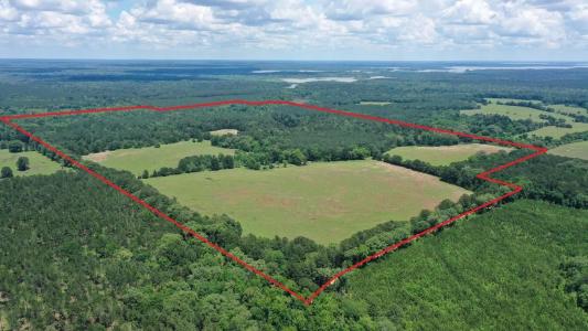 295 County Road 2462, Douglassville, Texas 75560, USA