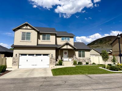 1151 S 550 E, Payson, Utah 84651, USA