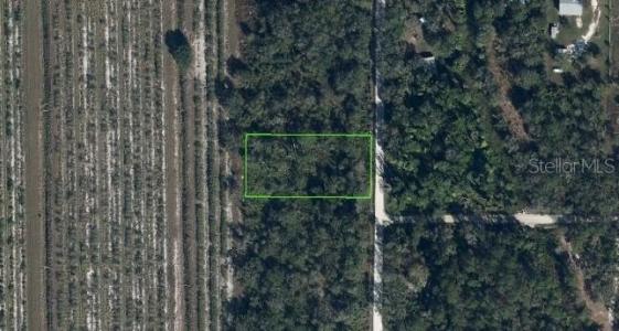 486 KULWICKI DRIVE, VENUS, Floryda 33960, USA