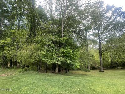 Tbd Hillcrest Drive, Gate City, Virginie 24251, États-Unis