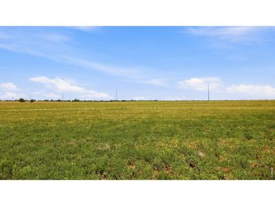 0 Tbd, Wiggins, Colorado 80654, USA