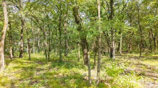 000 Pr 206, Bonham, Teksas 75418, USA