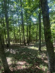 Owl Ridge Way, Jasper, Georgia 30143, Estados Unidos