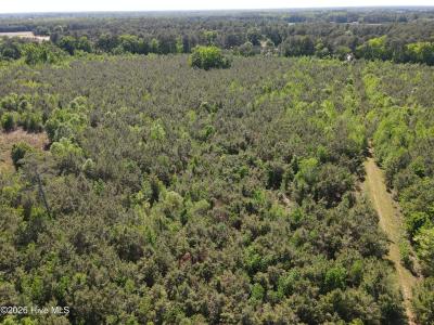 0 Colice Hall Lane, Ahoskie, Carolina Del Norte 27910, Estados Unidos
