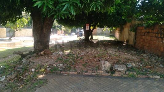 Del Arbol y del Escudo , Barrio Jara, Asunción 00001, 파라과이