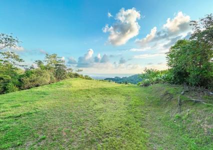Tres Ríos Puerto Cortés Osa, 蓬塔雷纳斯 00001, 哥斯达黎加