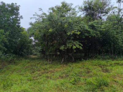 A 150 METROS DE QUINTA LA TRINIDAD , Altos, Cordillera 00001, Paraguay