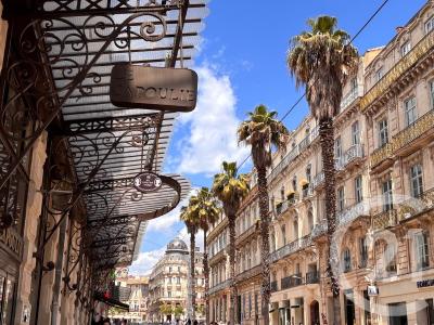 Montpellier, Languedoc-Roussillon 34000, France
