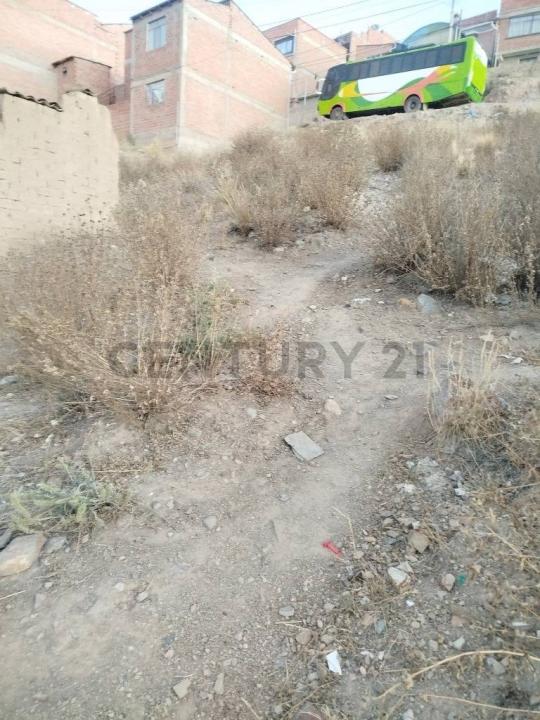 Calle Sin Nombre S/N, Alto Bracamonte, Potosí 00001, Bolivie