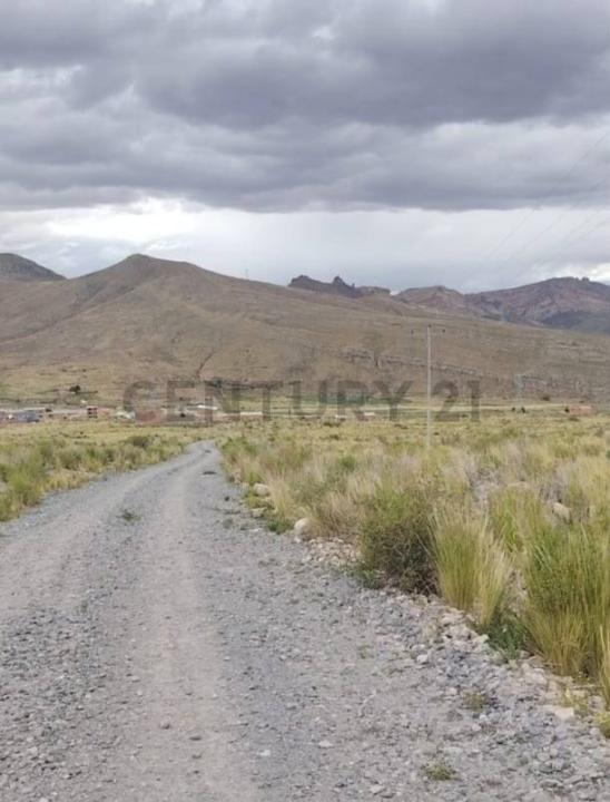 Ticka Loma, Potosí 0000, Bolivie