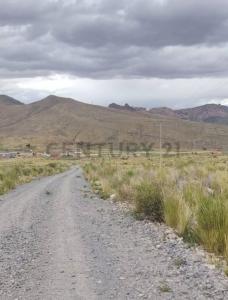 Ticka Loma, Potosí 0000, Bolivia