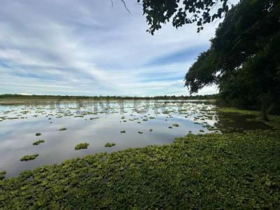 Este, Santa Cruz 12345, Bolivia