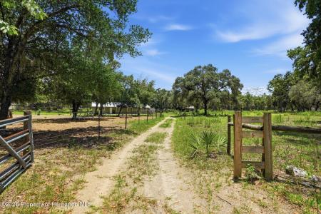 4187 Elwood Road, Spring Hill, Florida 34609, USA