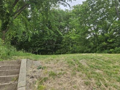 2614 Saint Marys Avenue, Hannibal, Missouri 63401, USA