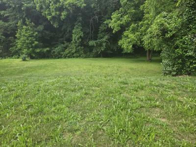 519 Riverside Street, Hannibal, Missouri 63401, USA