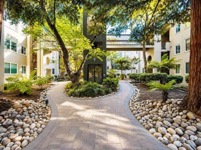 177 N El Camino Real , 36, San Mateo, California 94401, USA