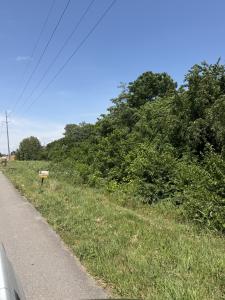 200 Dogwood Dr, Springfield, テネシー 37172, アメリカ合衆国