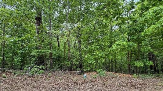 28077 Lame Deer Ridge Road, Proctor, Oklahoma 74457, Estados Unidos