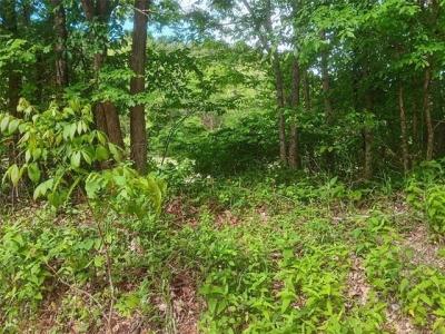 N 510 Road, Tahlequah, Оклахома 74464, Соединенные Штаты