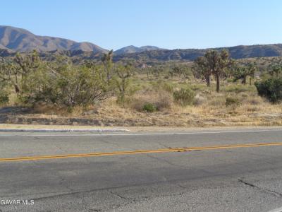 106th Cor Fort Tejon Rd Pav 1 APN 3047-016-031, Pearblossom, California 93553, USA