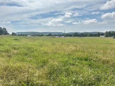 21001 E Steely Hollow Road, Tahlequah, Оклахома 74464, Соединенные Штаты