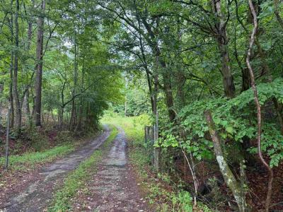 2494 Beaudry Circle, Jessieville, Arkansas 71949, USA